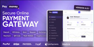 Paymoney secure online payment gateway codermarket.png