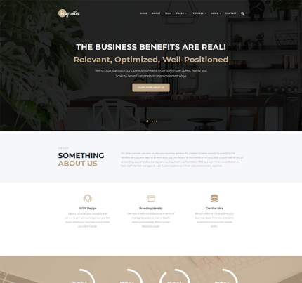 Payrollix internet business accounting wordpress theme.png