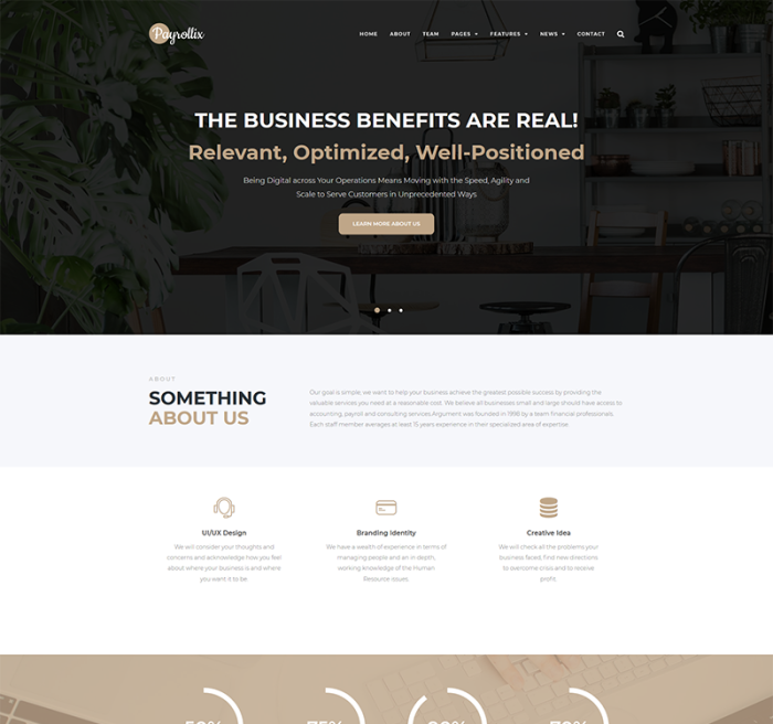 Payrollix internet business accounting wordpress theme.png