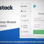 Paystack payment gateway for perfex crm codermarket.jpg