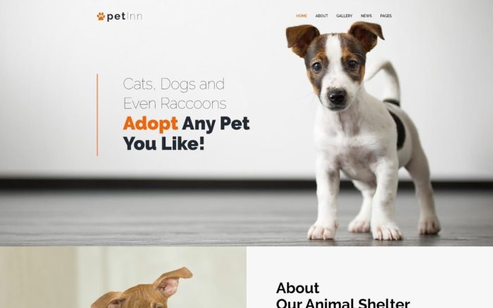 Petinn animal shelter responsive wordpress theme.jpg