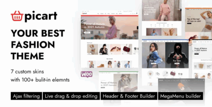 Picart fashion shop wordpress woocommerce theme codermarket.png