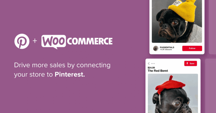 Pinterest for woocommerce pro by premmerce codermarket.png