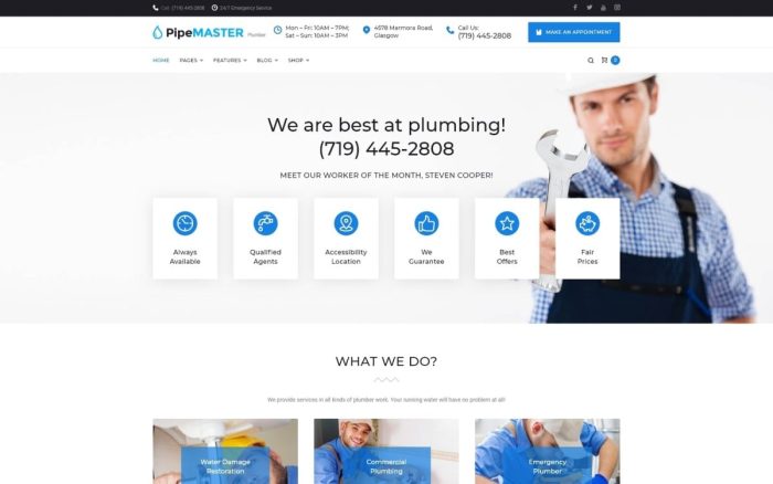 Pipemaster plumbing services wordpress theme.jpg