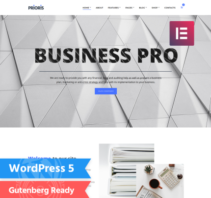 Prioris consulting agency wordpress elementor theme.png
