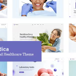 Promedica medical and healthcare theme codermarket.png