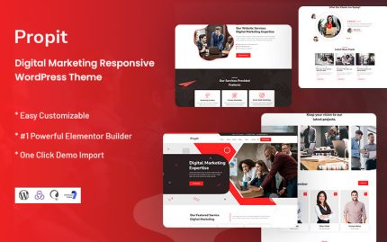 Propit digital marketing wordpress theme.jpg