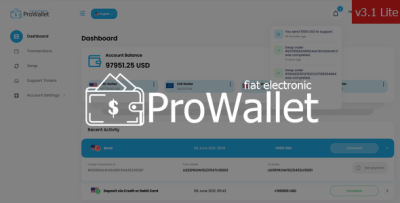 Prowallet v31 lite electronic online wallet codermarket.png