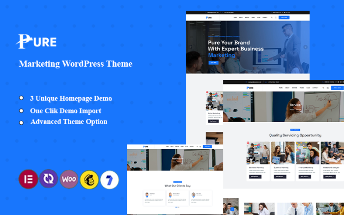 Pure marketing agency wordpress theme.png