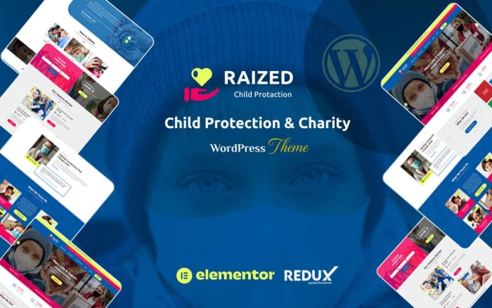 Raized non profit charity organization wordpress theme.jpg
