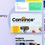 Robin and nilson digital agency wordpress theme codermarket.jpg