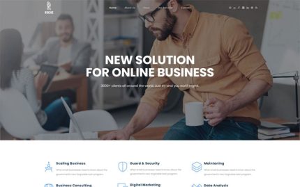 Roche business consulting wordpress theme.jpg
