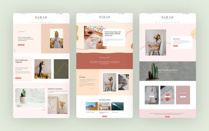 Sarah premium wordpress theme.jpg