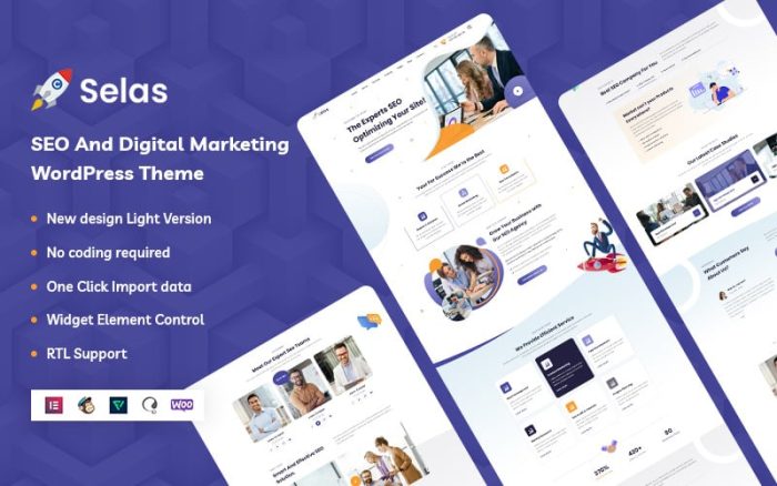 Selas seo and digital marketing wordpress theme.jpg