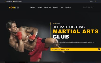 Sensei martial arts wordpress theme.jpg