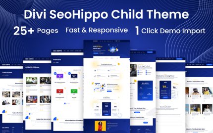 Seo hippo wordpress woocommerce divi child theme.png