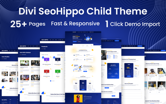 Seo hippo wordpress woocommerce divi child theme.png