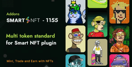 Smart nft 1155 multi token standard addon codermarket.png