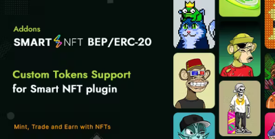Smart nft bep erc 20 custom token standard addons codermarket.png