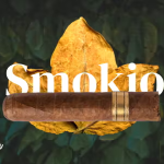 Smokio tobacco store hookah bar wordpress theme codermarket.png