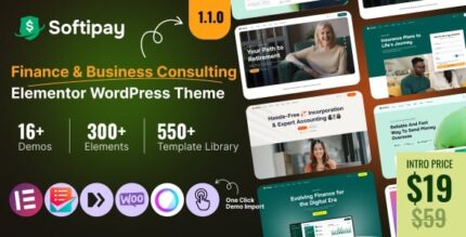 Softipay finance business consulting wordpress theme codermarket.jpg