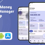 Takshal modern money manager app flutter hive android ios .png