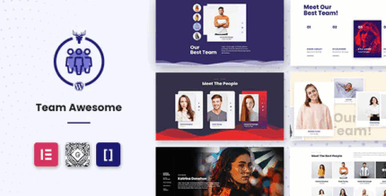 Team awesome pro team member showcase wordpress plugin codermarket.png