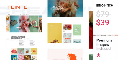 Teinte creative portfolio and design theme codermarket.png