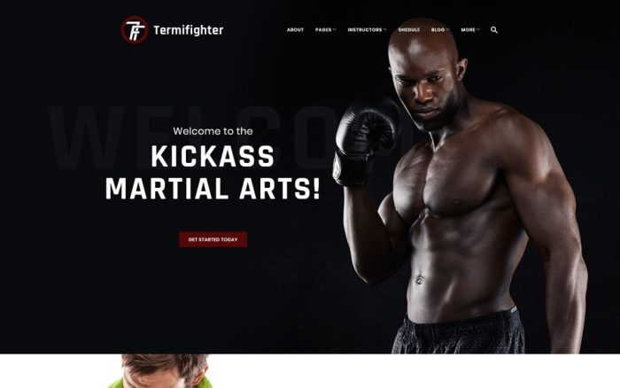 Termifighter martial arts club responsive wordpress theme.jpg