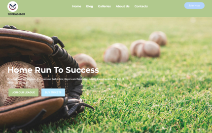 Tishbaseball baseball wordpress theme.png