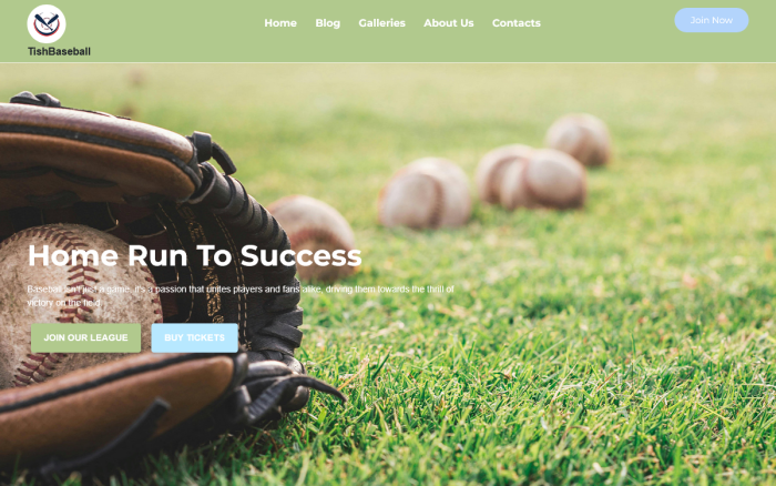 Tishbaseball baseball wordpress theme.png