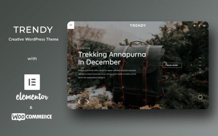 Trendy creative fashion handbag wordpress theme.jpg