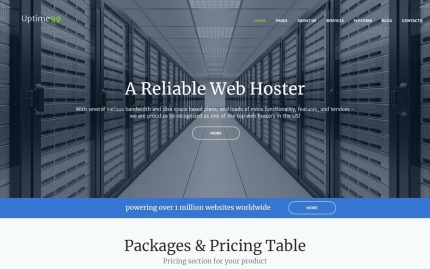 Uptime99 web hosting wordpress theme.jpg