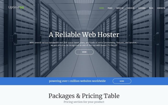 Uptime99 web hosting wordpress theme.jpg