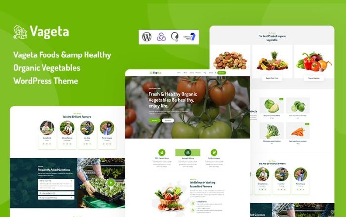 Vageta foods healthy organic vegetables wordpress theme.jpg