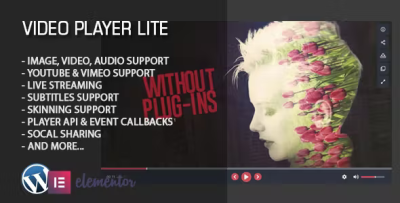 Video player lite elementor widget codermarket.png