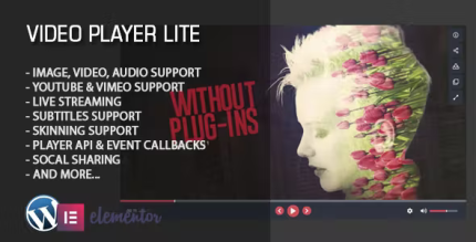 Video player lite elementor widget codermarket.png