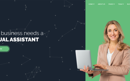 Vira virtual assistant wordpress theme.png
