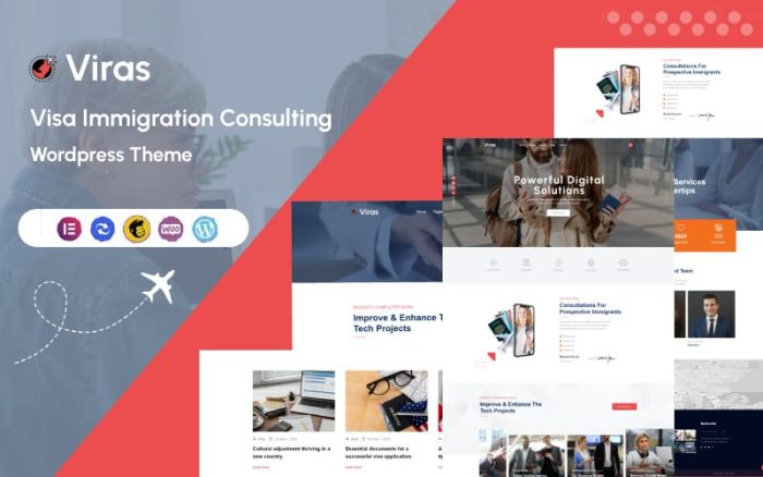 Viras visa immigration consulting wordpress theme.jpg