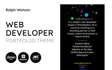 Web portfolio minimalistic web developer portfolio template wordpress theme.jpg