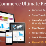 Woocommerce ultimate reports codermarket.png
