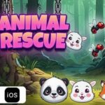 Animal rescue html5 game codermarket.jpeg