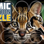Cosmic rotation puzzle html5 construct3 codermarket.jpg