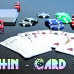 Dolphin single player card game codermarket.jpg
