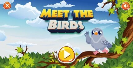 Meet the birds game educational game html5 construct 3 game codermarket.jpg