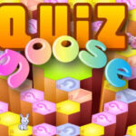 Quiz goose science codermarket.jpg