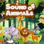 Sounds of animal game educational game html5 construct 3 codermarket.jpeg