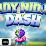 Tiny ninja dash html5 construct3 game codermarket.jpg