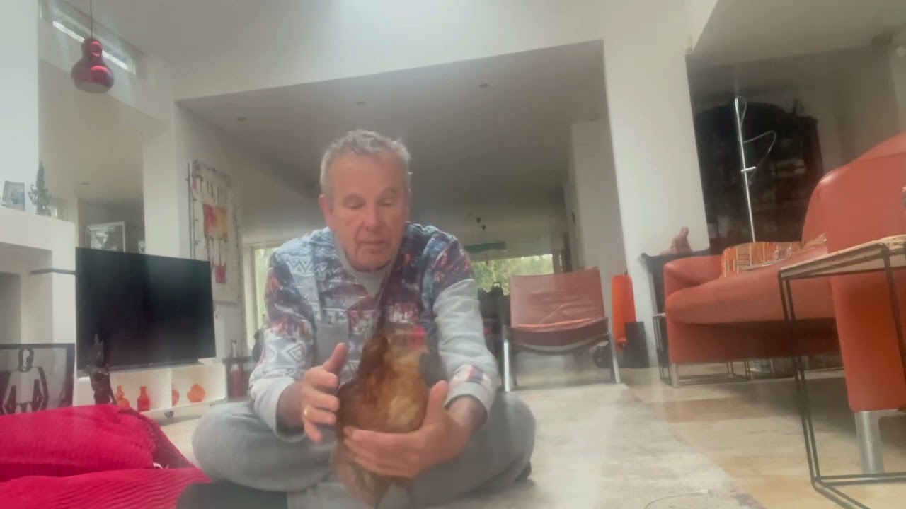 Handling and Taming a Chicken: A Gentle Approach in order to meditate together