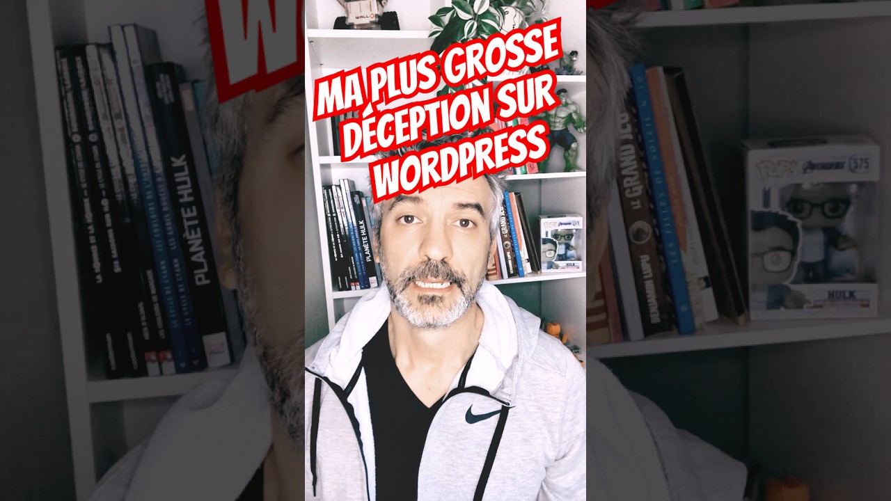 Ma plus grosse déception sur WordPress !